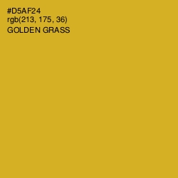 #D5AF24 - Golden Grass Color Image